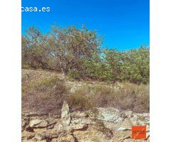 FINCA RUSTICA CON CASETA-LA RAPITA-TARRAGONA