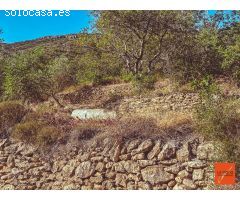 FINCA RUSTICA CON CASETA-LA RAPITA-TARRAGONA