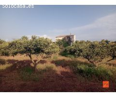 FINCA RUSTICA CON CASA EN VENTA EN MASDENVERGE (TARRAGONA)