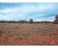 FINCA RUSTICA EN VENTA EN SANTA BARBARA (TARRAGONA)