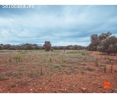 FINCA RUSTICA EN VENTA EN SANTA BARBARA (TARRAGONA)