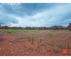 FINCA RUSTICA EN VENTA EN SANTA BARBARA (TARRAGONA)