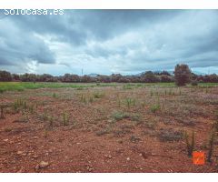 FINCA RUSTICA EN VENTA EN SANTA BARBARA (TARRAGONA)