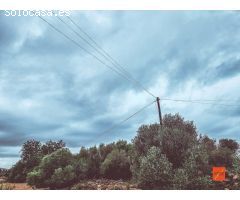 FINCA RUSTICA EN VENTA EN SANTA BARBARA (TARRAGONA)