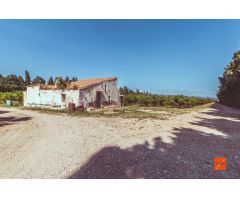 FINCA EN PLENA PRODUCCIÓN EN ROQUETES