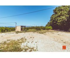 FINCA EN PLENA PRODUCCIÓN EN ROQUETES