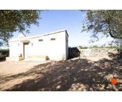 FINCA RUSTICA CON DOS CASETAS A LA VENTA EN LA GALERA (TARRAGONA)