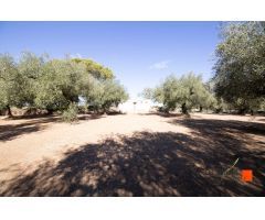 FINCA RUSTICA CON DOS CASETAS A LA VENTA EN LA GALERA (TARRAGONA)