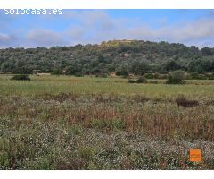 FINCA RÚSTICA EN VENTA EN ULLDECONA (TARRAGONA)