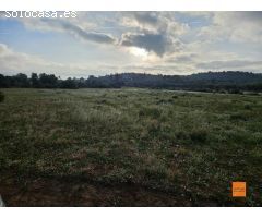 FINCA RÚSTICA EN VENTA EN ULLDECONA (TARRAGONA)