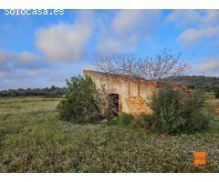 FINCA RÚSTICA EN VENTA EN ULLDECONA (TARRAGONA)