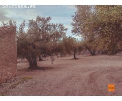 FINCA RUSTICA CON CASETA EN VENTA EN SANTA BARBARA (TARRAGONA)