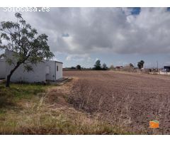 FINCA RUSTICA DE ARROZALES CON CASA EN PLANTA BAJA EN VENTA EN SANT JAUME DENVEJA (TARRAGONA)