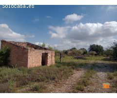 FINCA RUSTICA CON CASETA EN VENTA EN SANTA BARBARA (TARRAGONA)