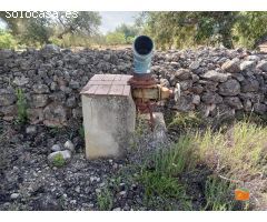 FINCA RUSTICA CON CASETA EN VENTA EN SANTA BARBARA (TARRAGONA)