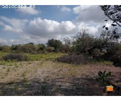 FINCA RUSTICA CON CASETA EN VENTA EN SANTA BARBARA (TARRAGONA)