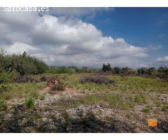 FINCA RUSTICA CON CASETA EN VENTA EN SANTA BARBARA (TARRAGONA)