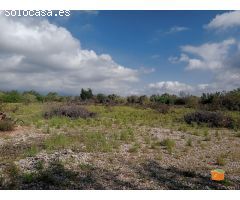 FINCA RUSTICA CON CASETA EN VENTA EN SANTA BARBARA (TARRAGONA)