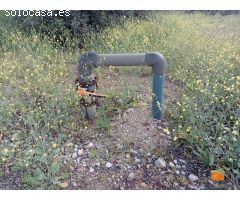 FINCA RUSTICA CON CASETA EN VENTA EN SANTA BARBARA (TARRAGONA)