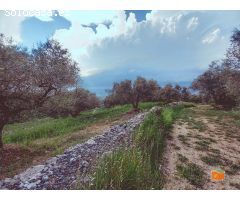 FINCA RUSTICA EN VENTA EN GODALL (TARRAGONA)