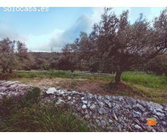 FINCA RUSTICA EN VENTA EN GODALL (TARRAGONA)