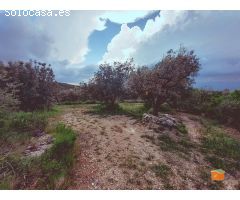 FINCA RUSTICA EN VENTA EN GODALL (TARRAGONA)