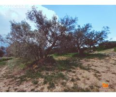 FINCA RUSTICA EN VENTA EN GODALL (TARRAGONA)