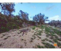 FINCA RUSTICA EN VENTA EN GODALL (TARRAGONA)