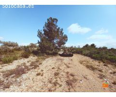 FINCA RUSTICA EN VENTA EN GODALL (TARRAGONA)