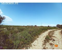 FINCA RUSTICA EN VENTA EN GODALL (TARRAGONA)