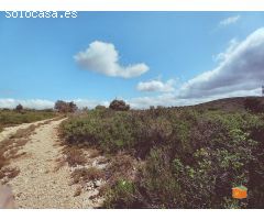 FINCA RUSTICA EN VENTA EN GODALL (TARRAGONA)