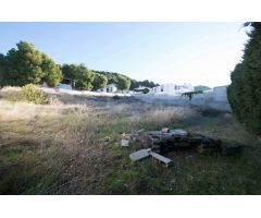 Parcela. Urbanización El Puntal