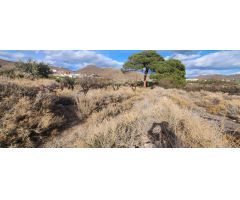 OCASIÓN, BAJADA DE PRECIO!!! VENTA DE TERRENO EN GERGAL CON POSIBILIDAD DE EDIFICAR UN CORTIJO.