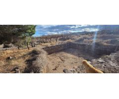 OCASIÓN, BAJADA DE PRECIO!!! VENTA DE TERRENO EN GERGAL CON POSIBILIDAD DE EDIFICAR UN CORTIJO.