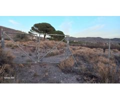 OCASIÓN, BAJADA DE PRECIO!!! VENTA DE TERRENO EN GERGAL CON POSIBILIDAD DE EDIFICAR UN CORTIJO.