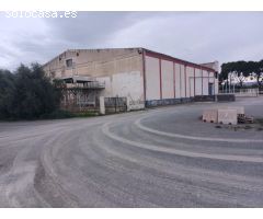 NAVE INDUSTRIAL/CAMARA FRIJOLOFERA/AMPLIA, EN BUEN ESTADO. 1.010.000€