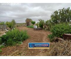 TERRENO CON PEQUEÑA CASITA EN PINOSO