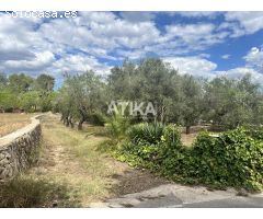 Terreno en venta de 2290m2 con una pequeña construcción a escasos min. de la localidad
