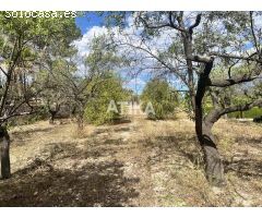 Terreno en venta de 2290m2 con una pequeña construcción a escasos min. de la localidad