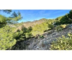 terreno en Venta en La Herradura