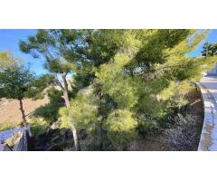 terreno en Venta en La Herradura