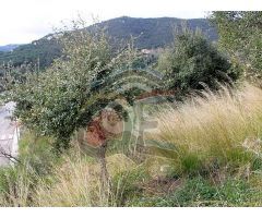 terreno en Venta en Calonge
