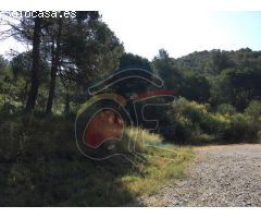 terreno en Venta en Palamós