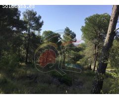 terreno en Venta en Palamós