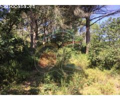 terreno en Venta en Palamós