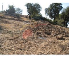 terreno en Venta en Calonge