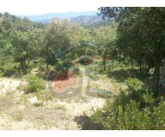 terreno en Venta en Llagostera