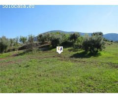 terreno en Venta en Las Casillas