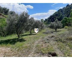 terreno en Venta en Montefrio