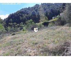 terreno en Venta en Montefrio